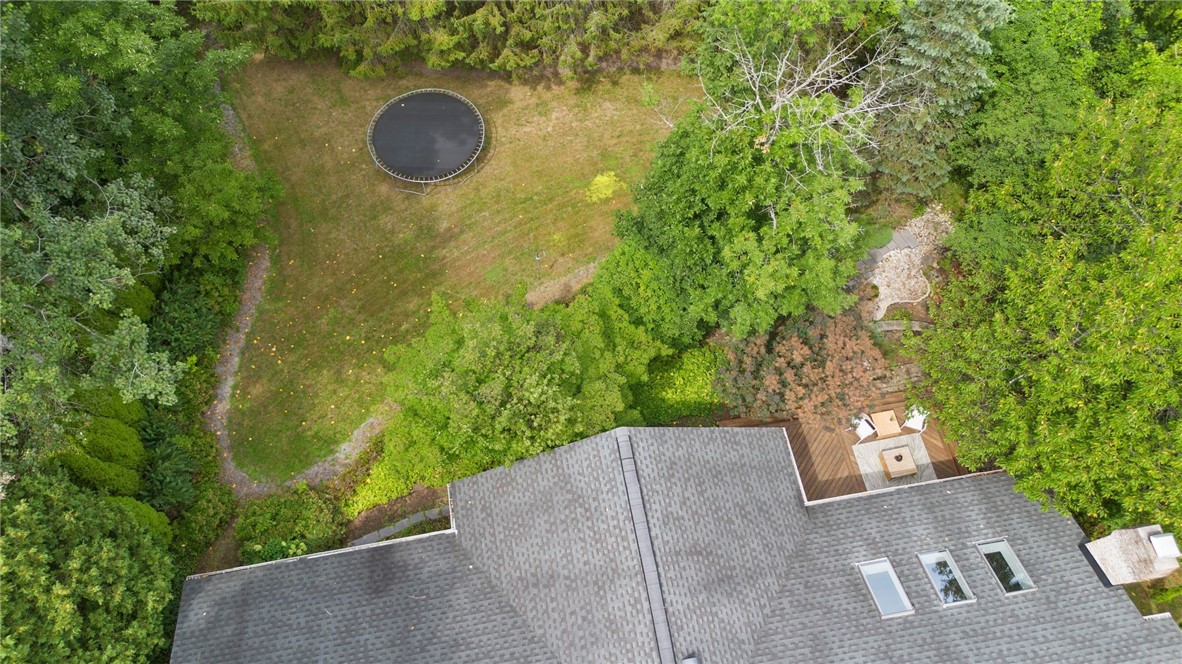 5 Greentree