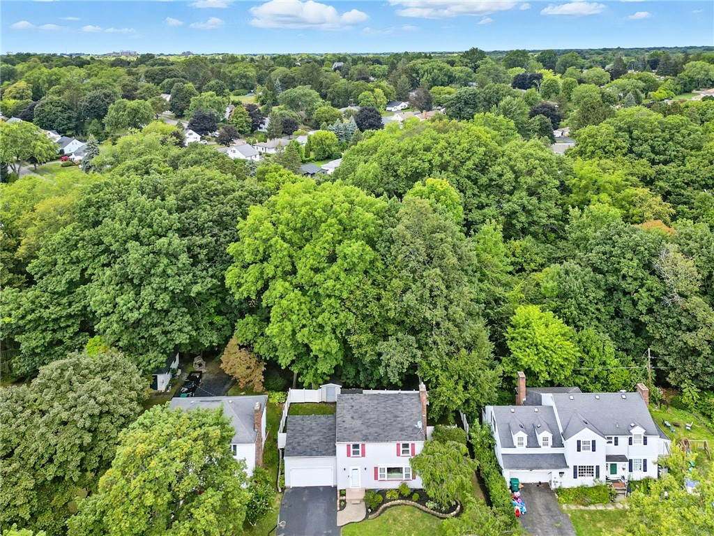 85 Druid Hill Park