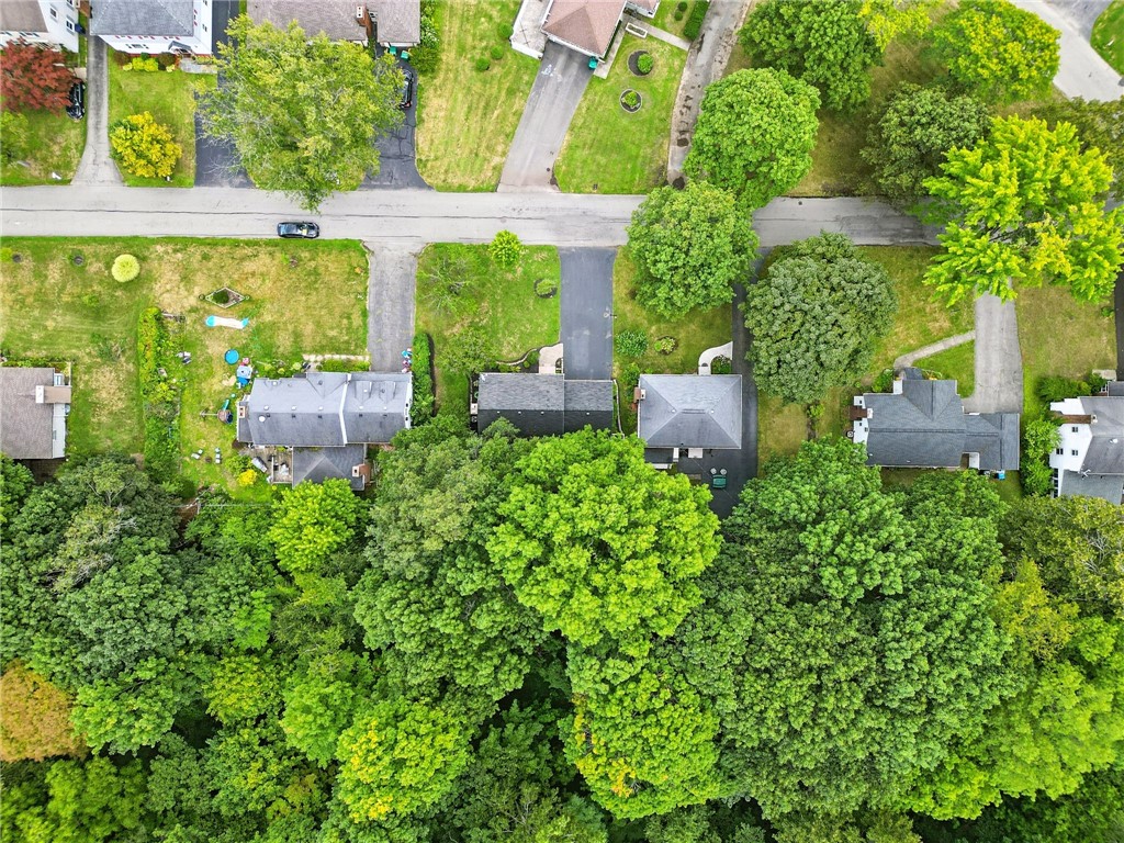 85 Druid Hill Park