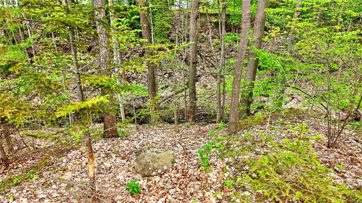 131 Panorama Trail