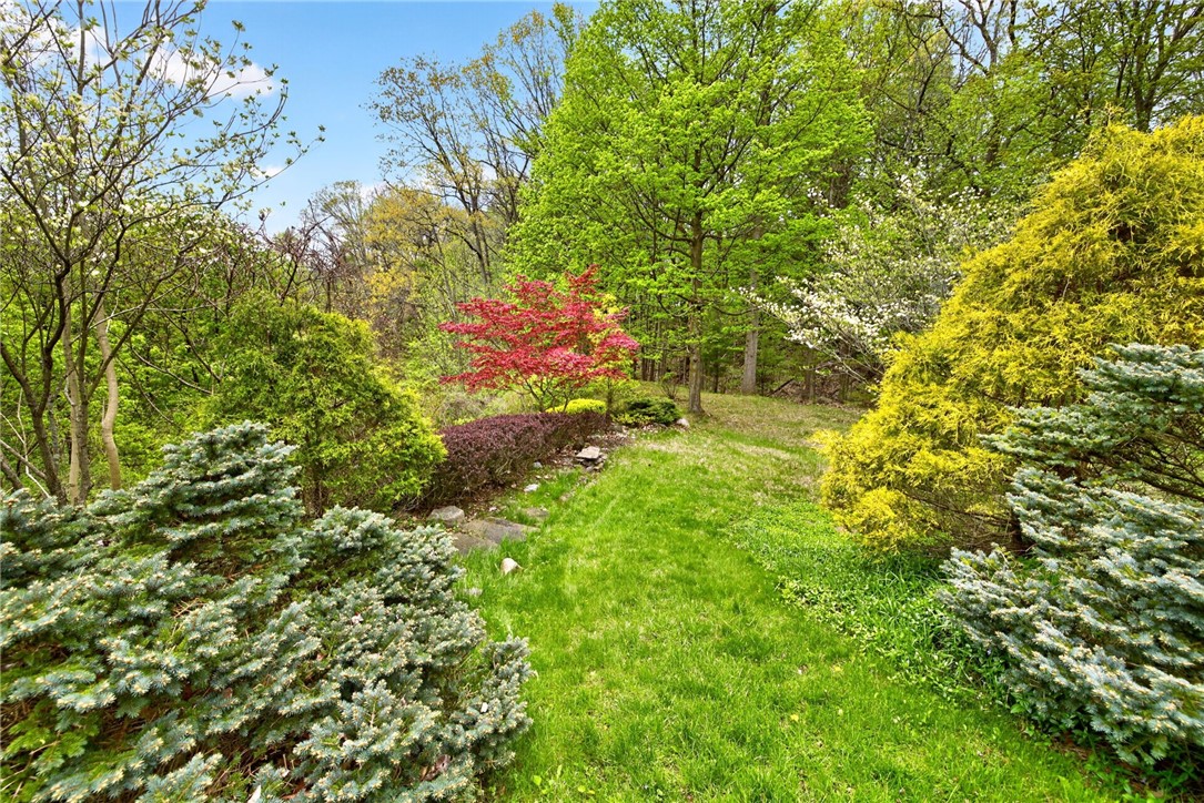 131 Panorama Trail