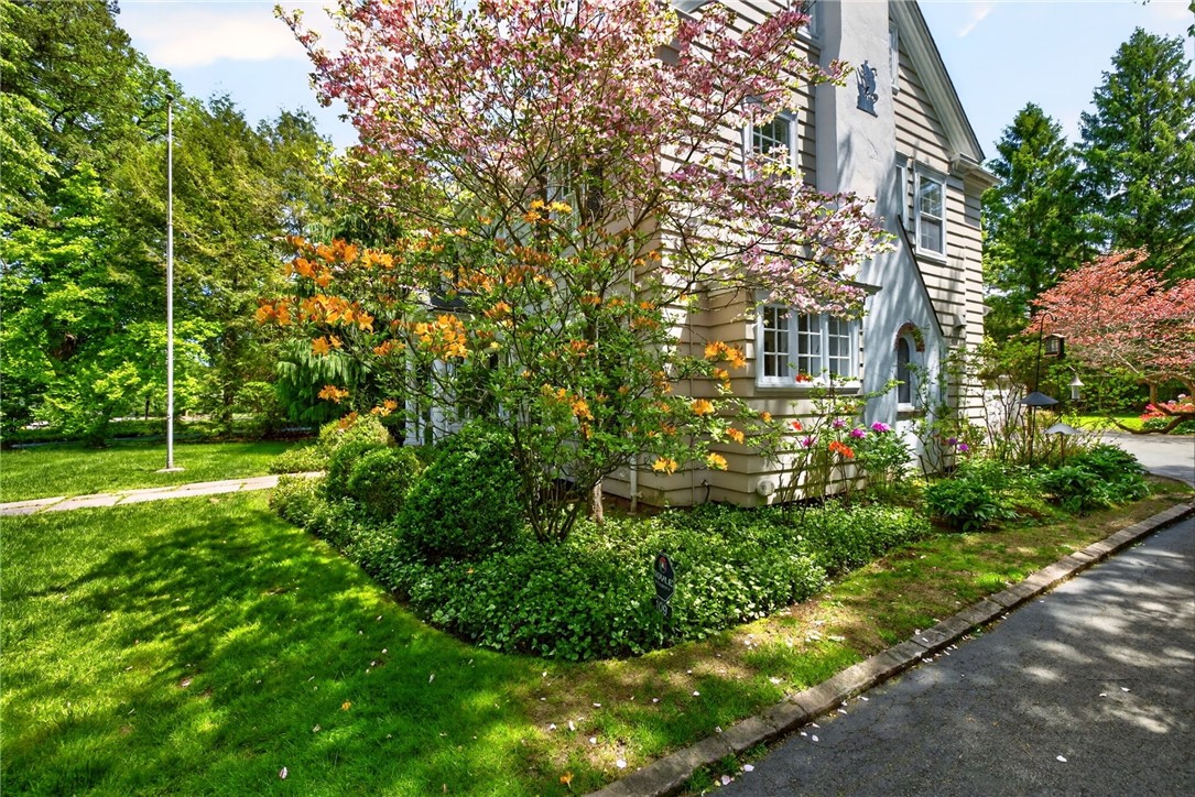 109 Sandringham Road