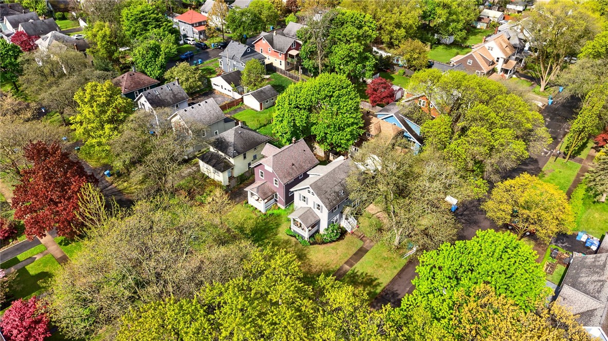 85 Woodland Park