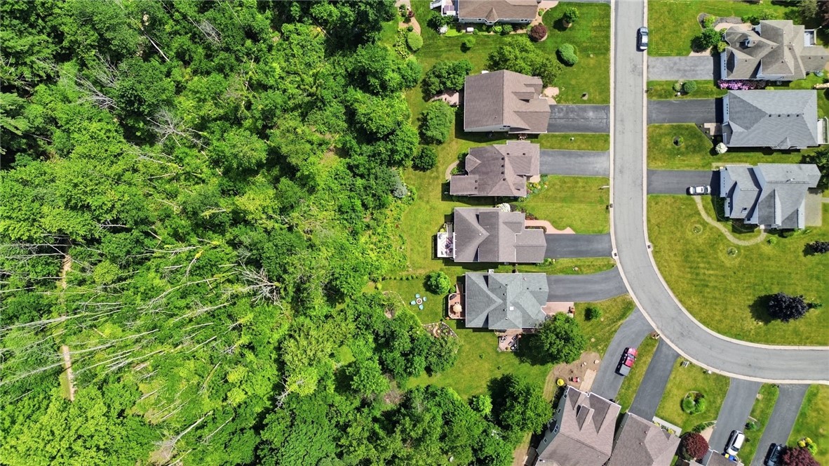 770 Bel Arbor Trail