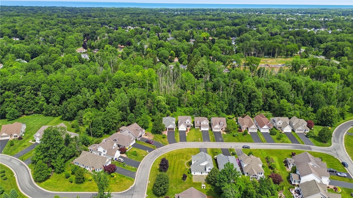 770 Bel Arbor Trail