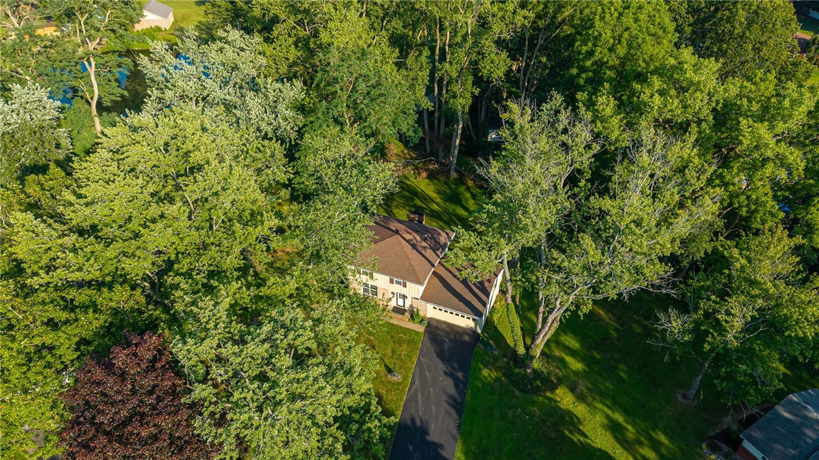 20 Brooktree Drive