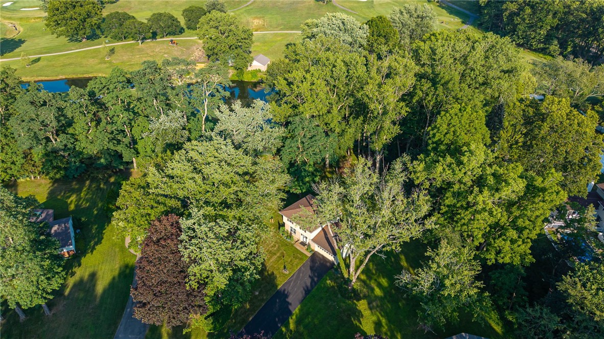 20 Brooktree Drive