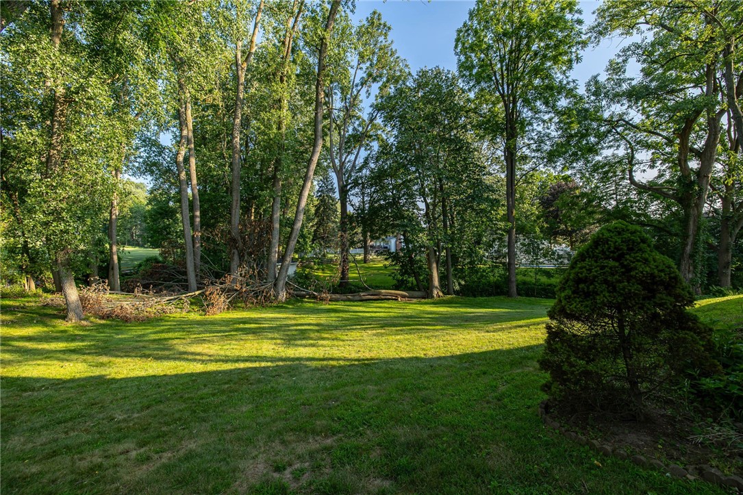 20 Brooktree Drive
