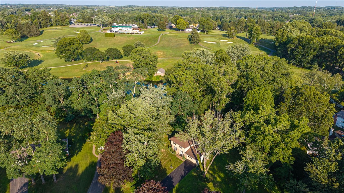 20 Brooktree Drive