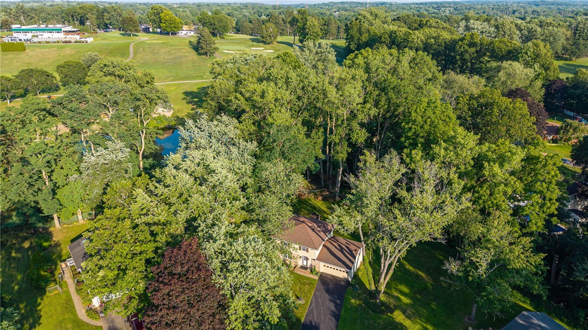 20 Brooktree Drive