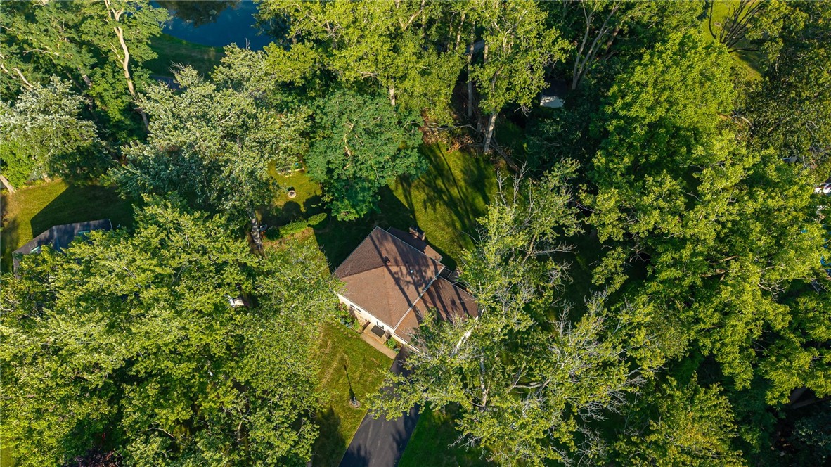 20 Brooktree Drive