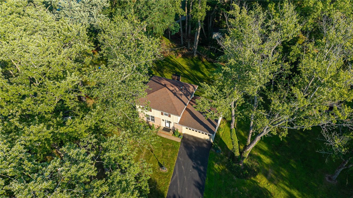 20 Brooktree Drive