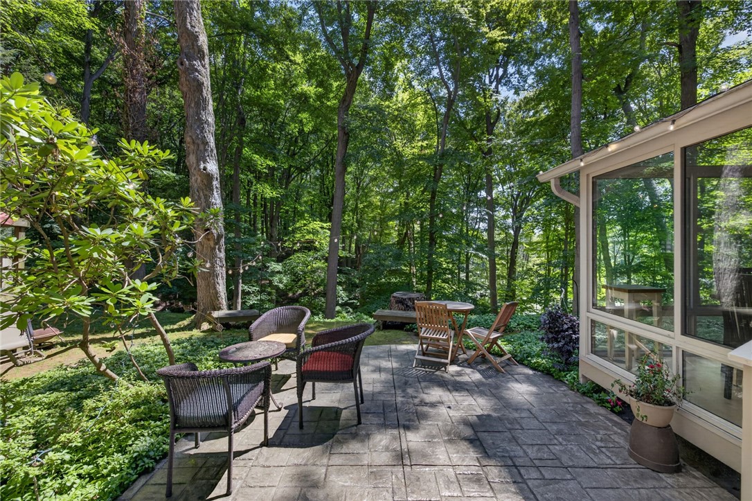 10 Forest Knoll