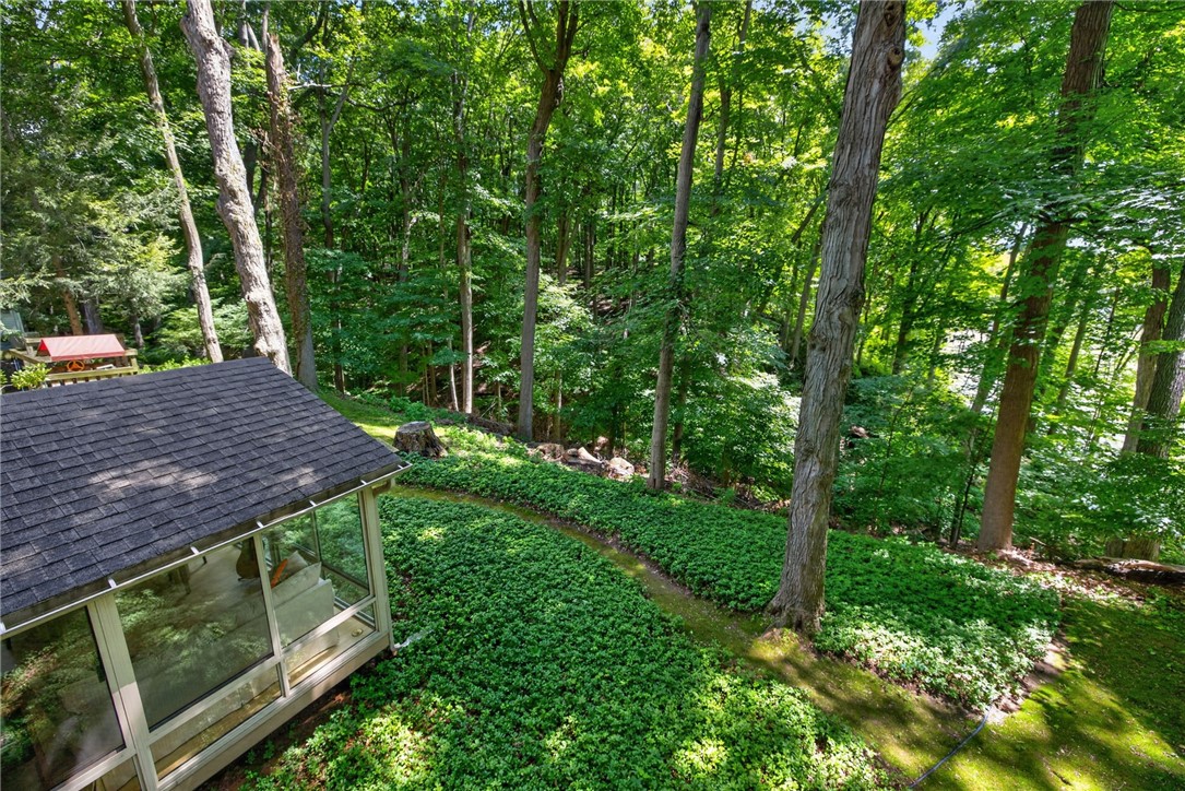 10 Forest Knoll