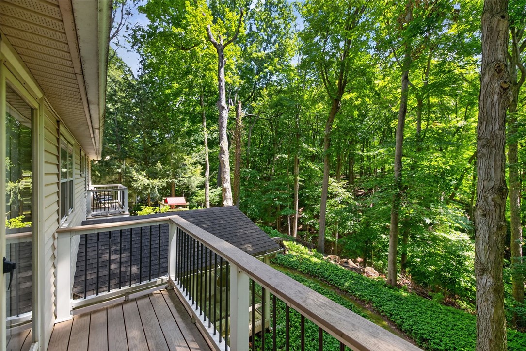 10 Forest Knoll