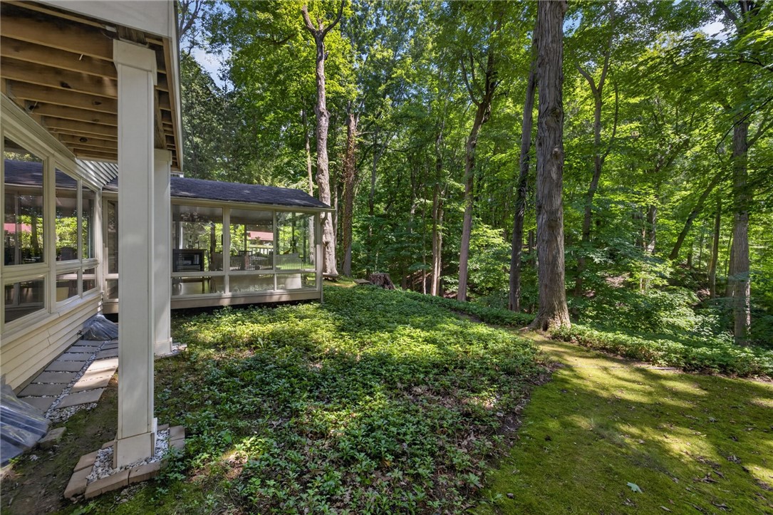 10 Forest Knoll