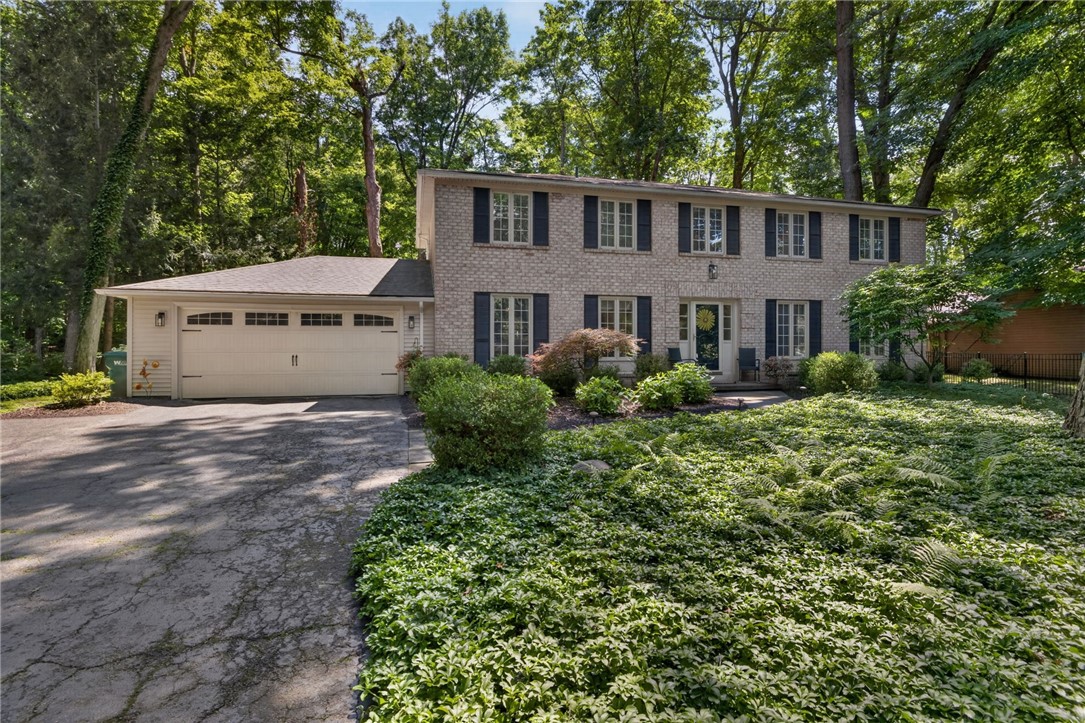 10 Forest Knoll