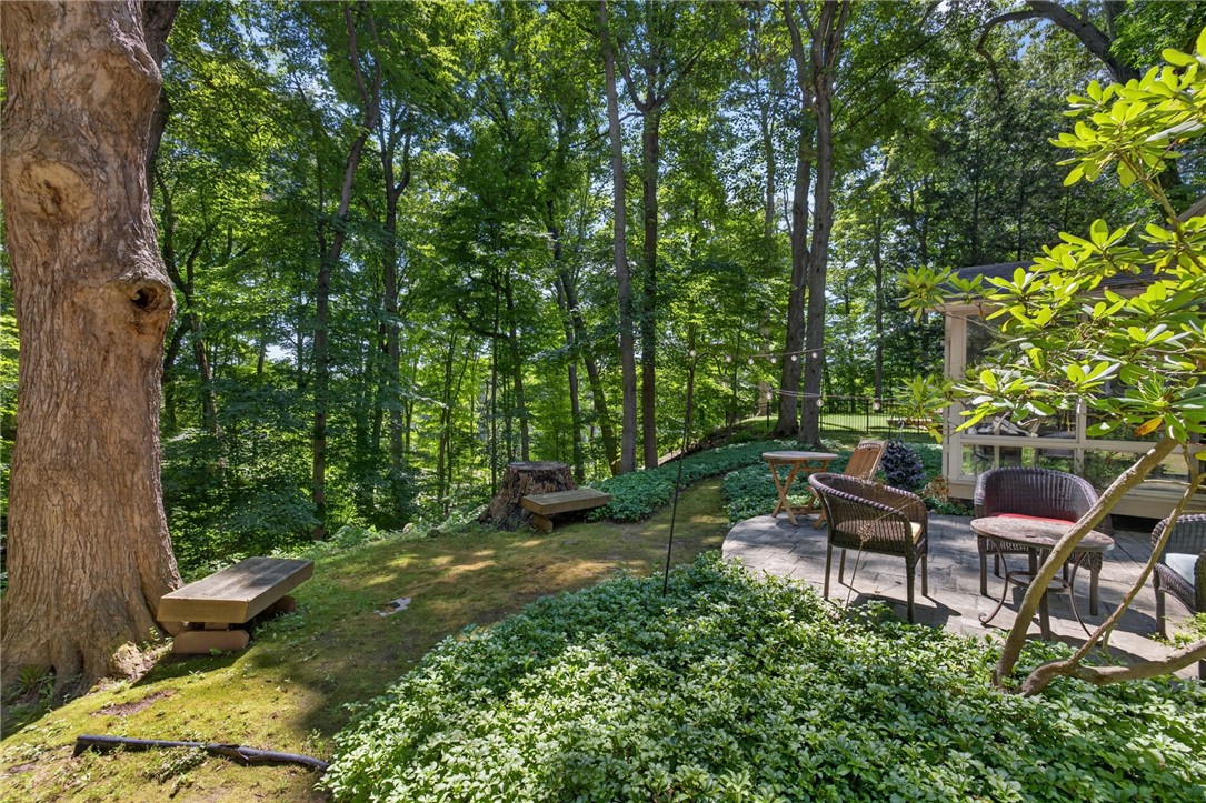 10 Forest Knoll