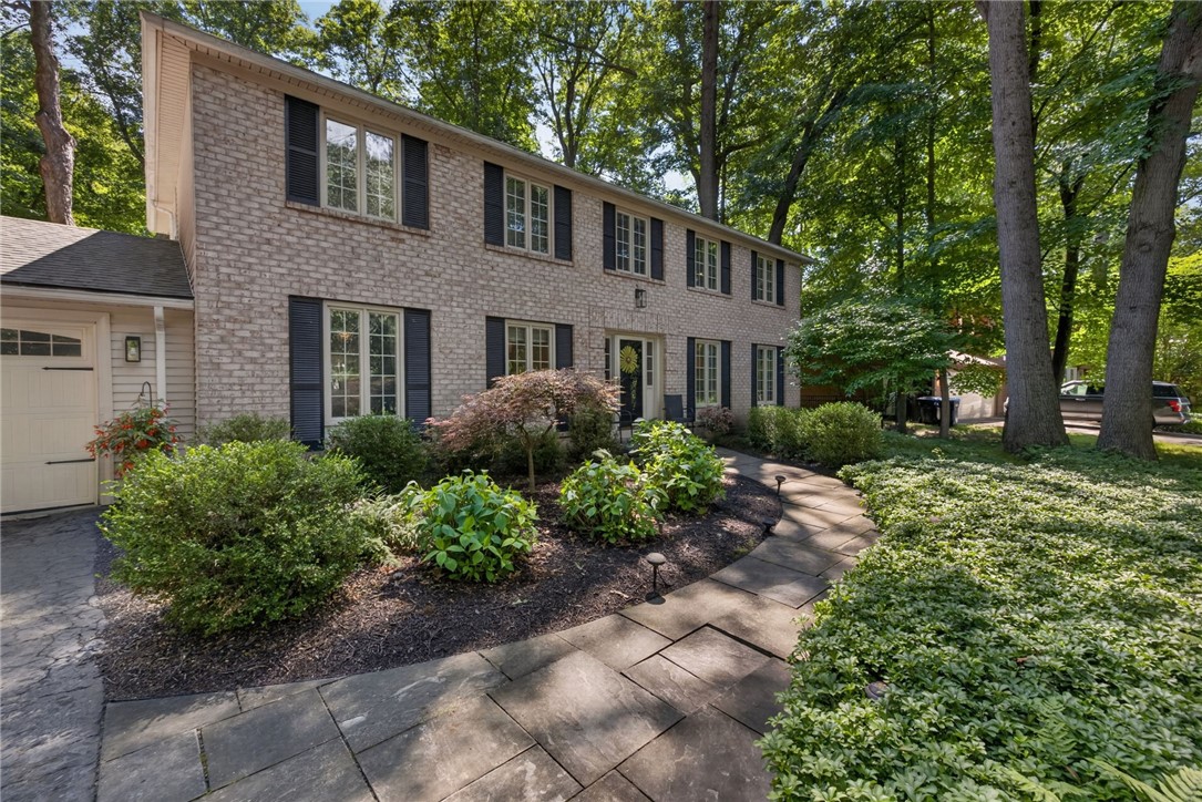 10 Forest Knoll
