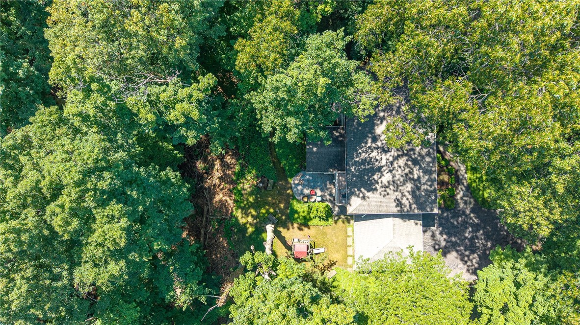 10 Forest Knoll