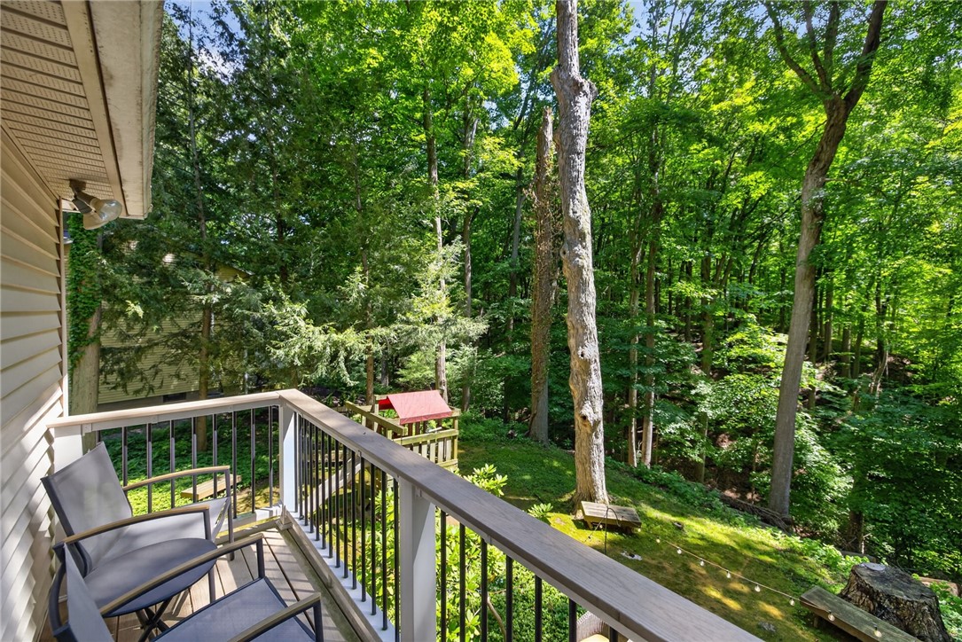 10 Forest Knoll