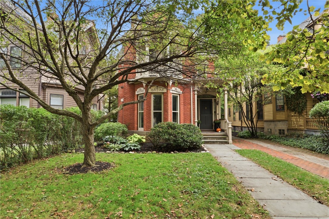 35 Vick Park A