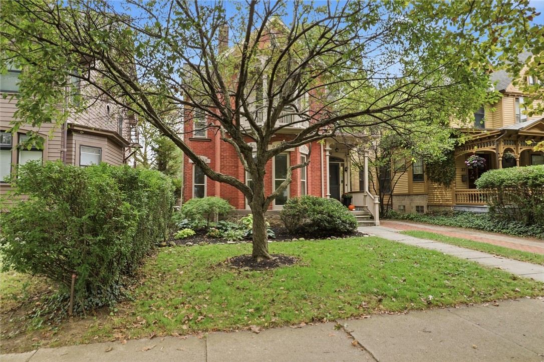 35 Vick Park A