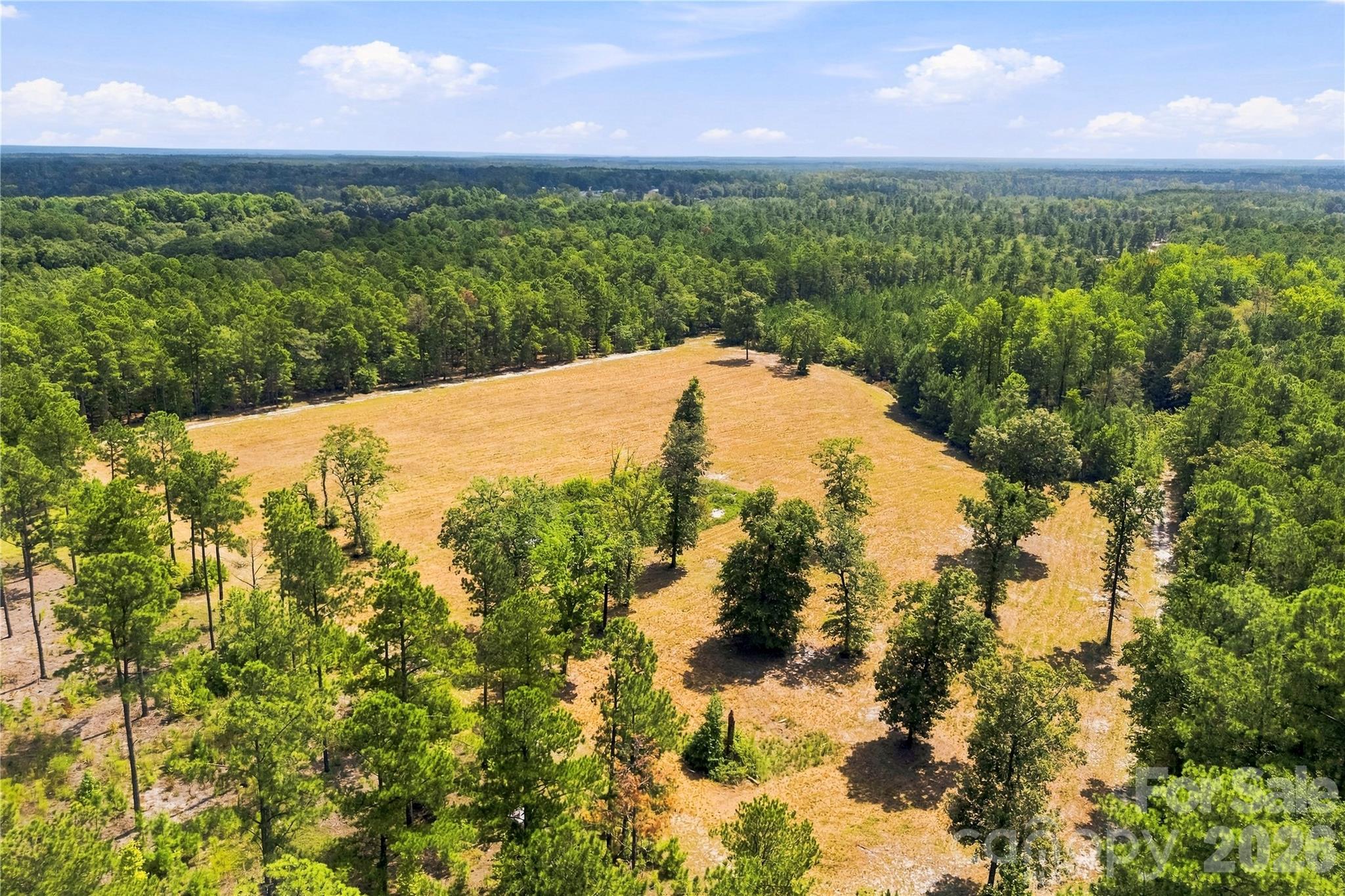 393 Youngs Bend Road
