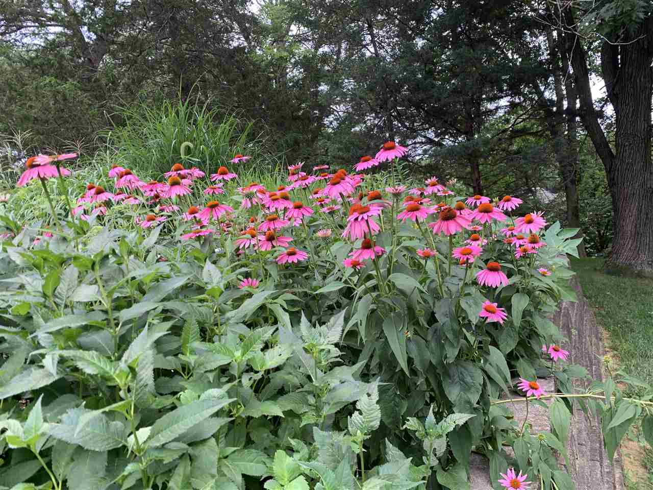 32 N High Circle Dr NE