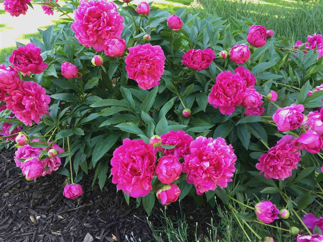 32 N High Circle Dr NE