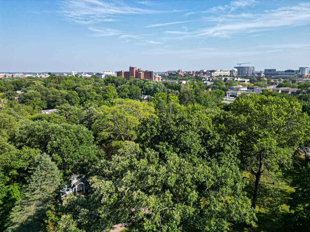 254 Black Springs Cir