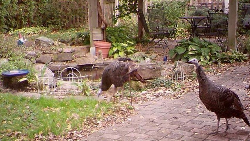 1840 Friendship Street