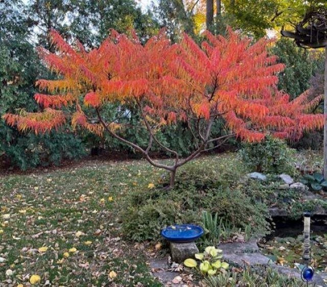 1840 Friendship Street