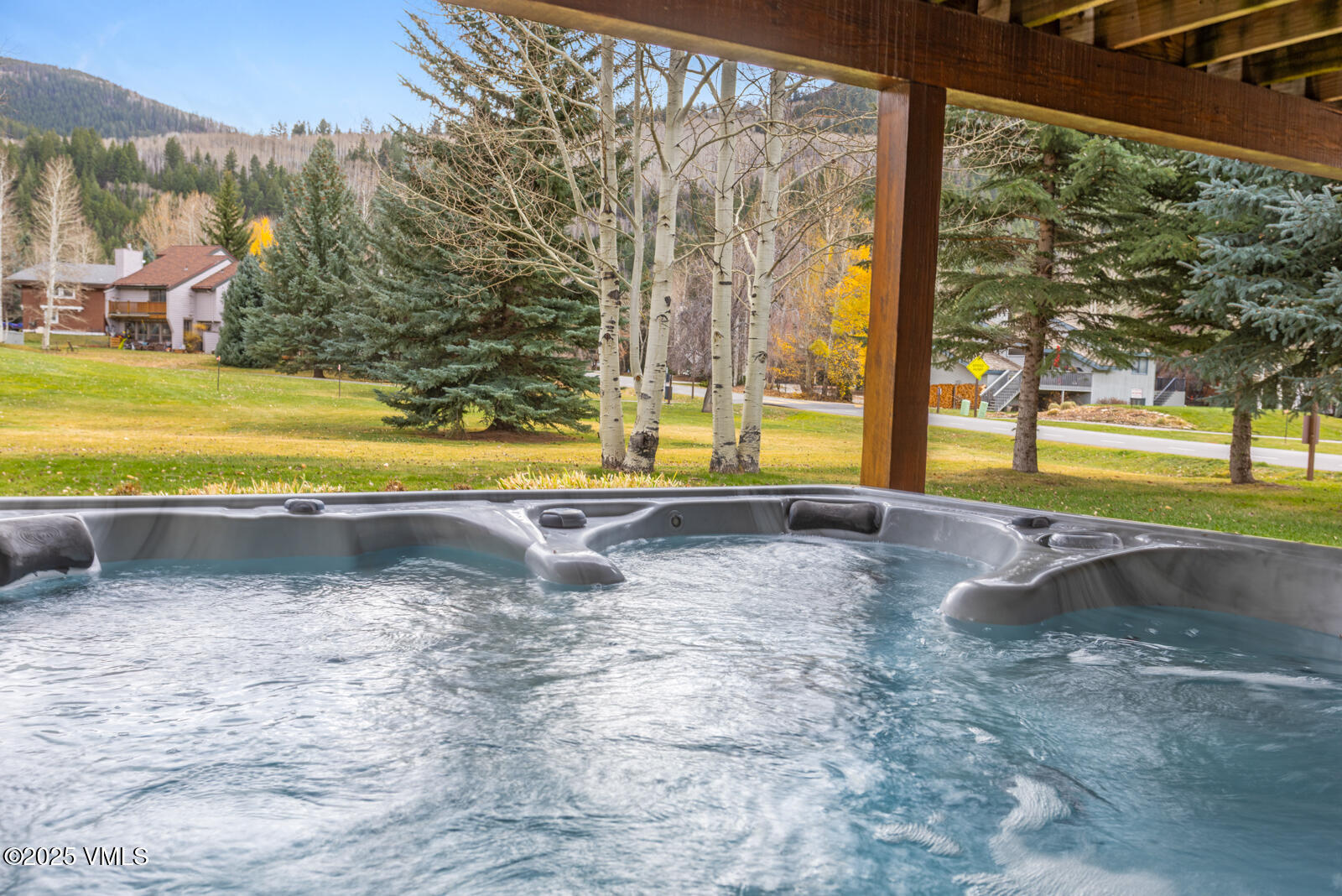 120 Larkspur Lane, 1, Eagle-Vail Unit: 1