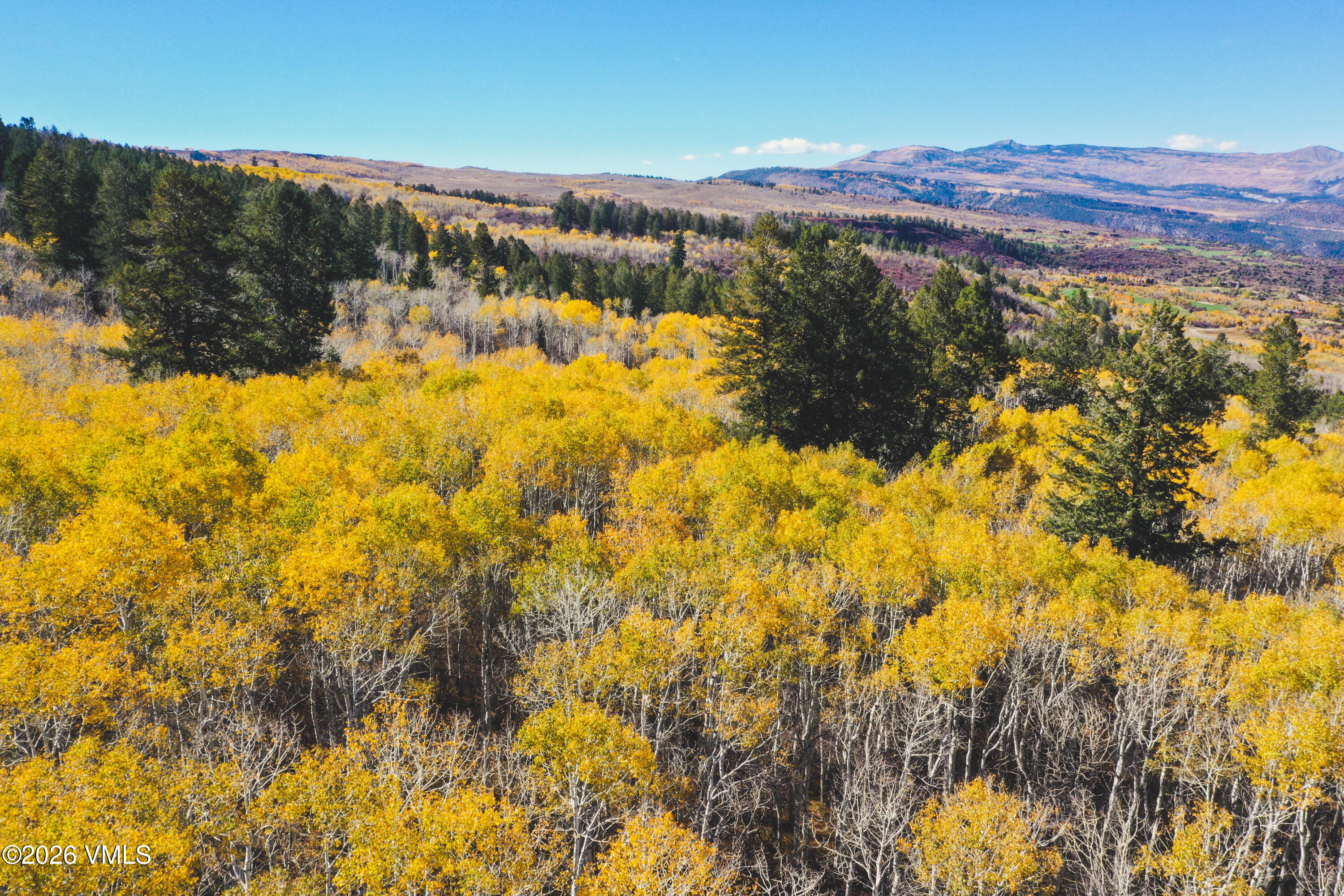 Wooded land in golden autumn foliage, with evergreen groves and distant mountain ridges.