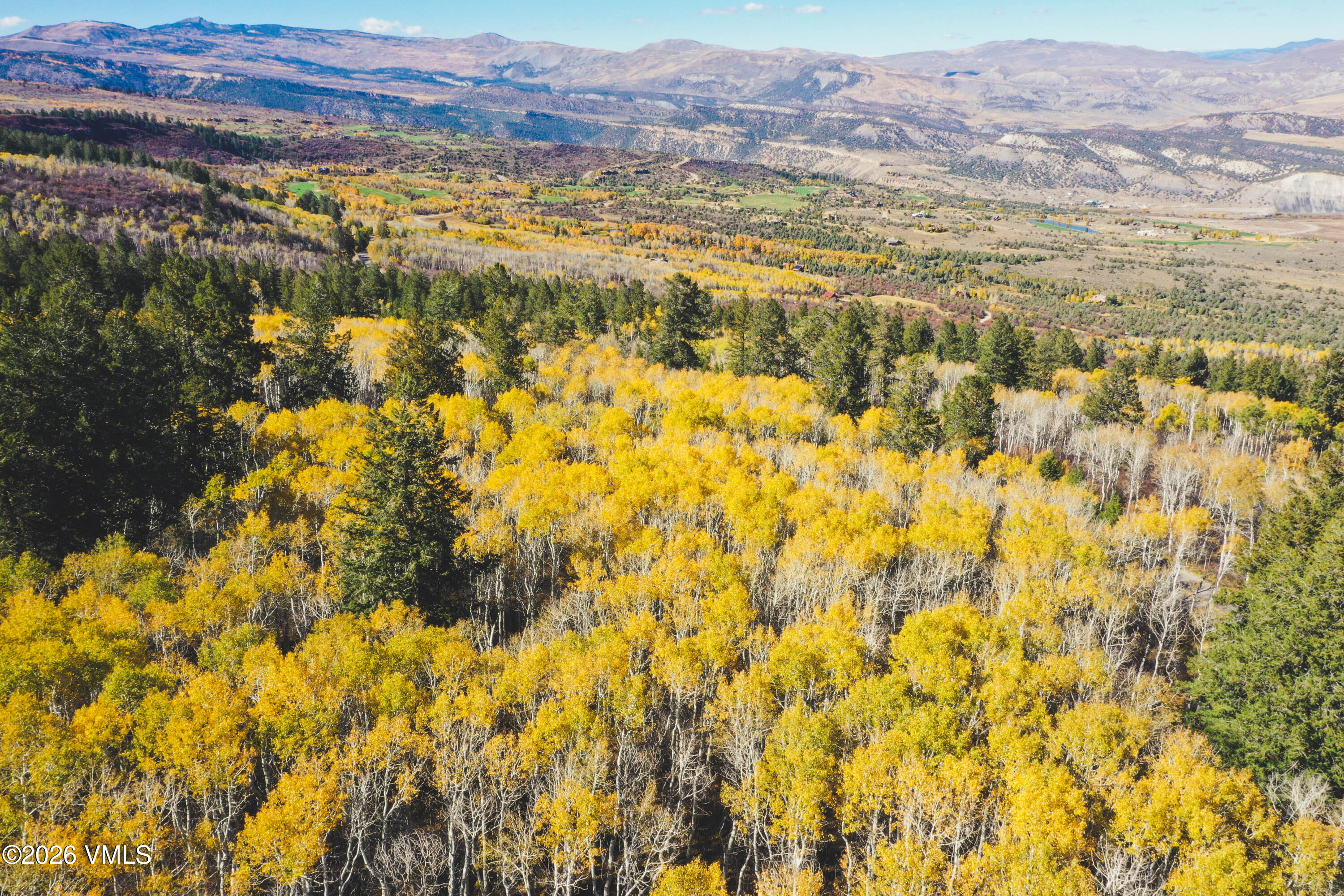 Aerial view of golden autumn aspens and evergreen forest with mountain ranges beyond.