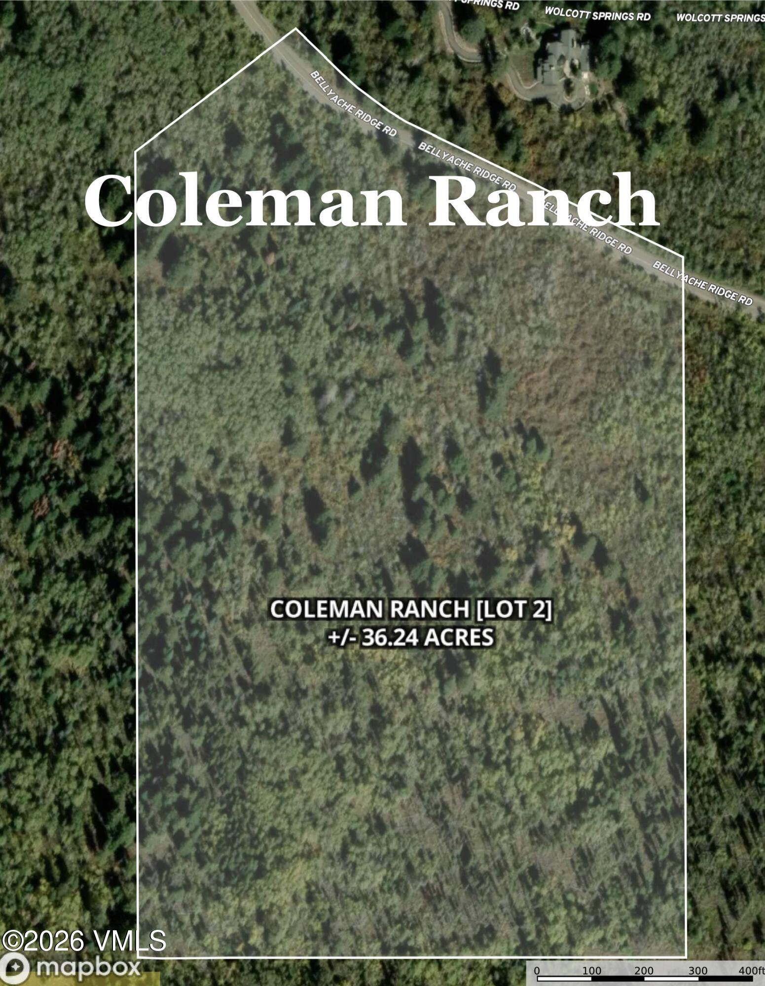 Aerial view of wooded 36.24-acre Coleman Ranch Lot 2, outlined along Bellyache Ridge Road.