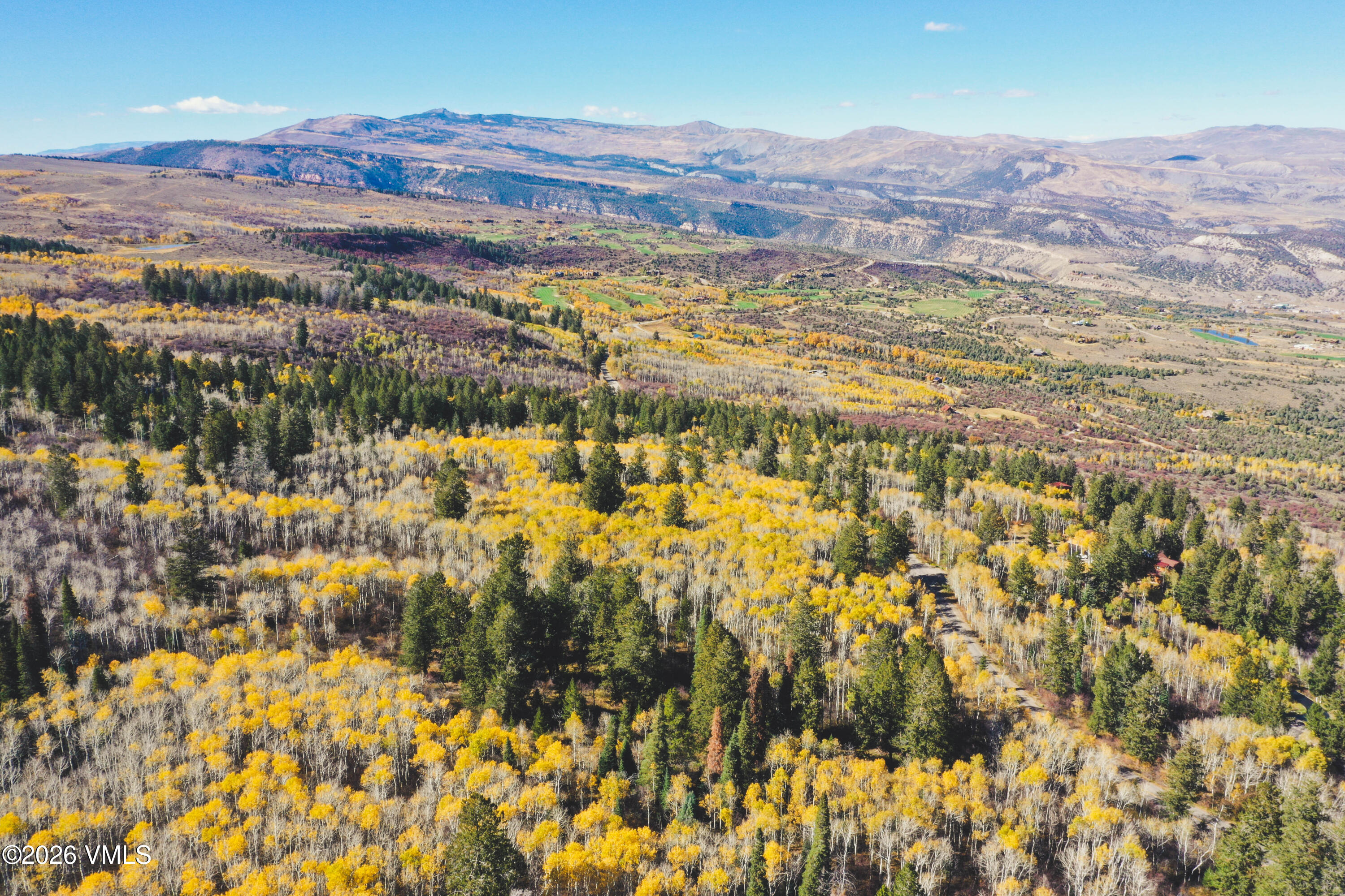 Aerial view of autumn-colored aspens and evergreen forest, with a winding road and distant mountains.