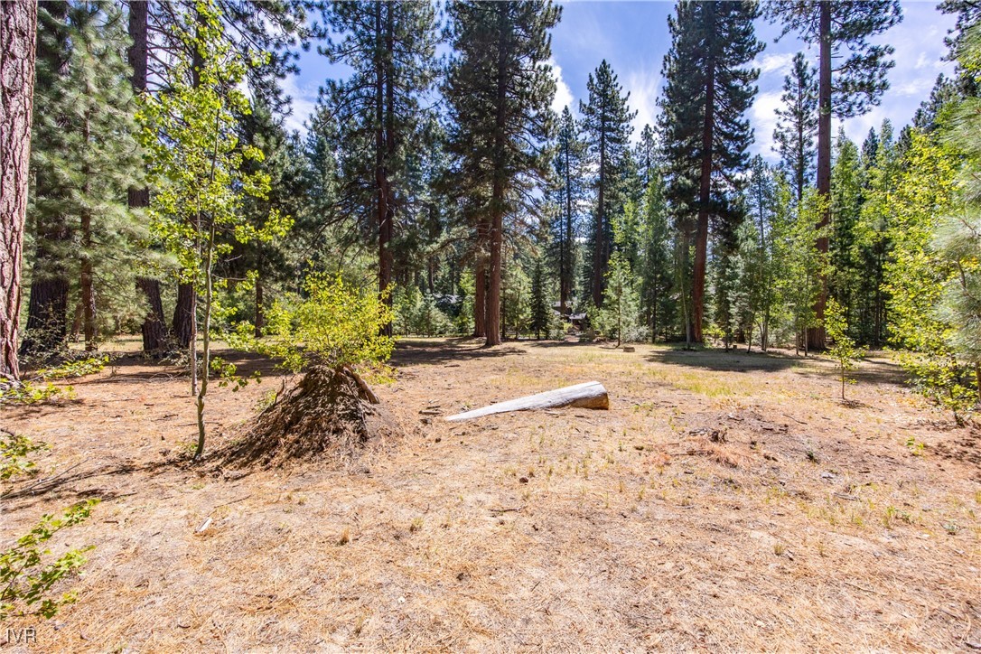 1580 PINE CONE Circle