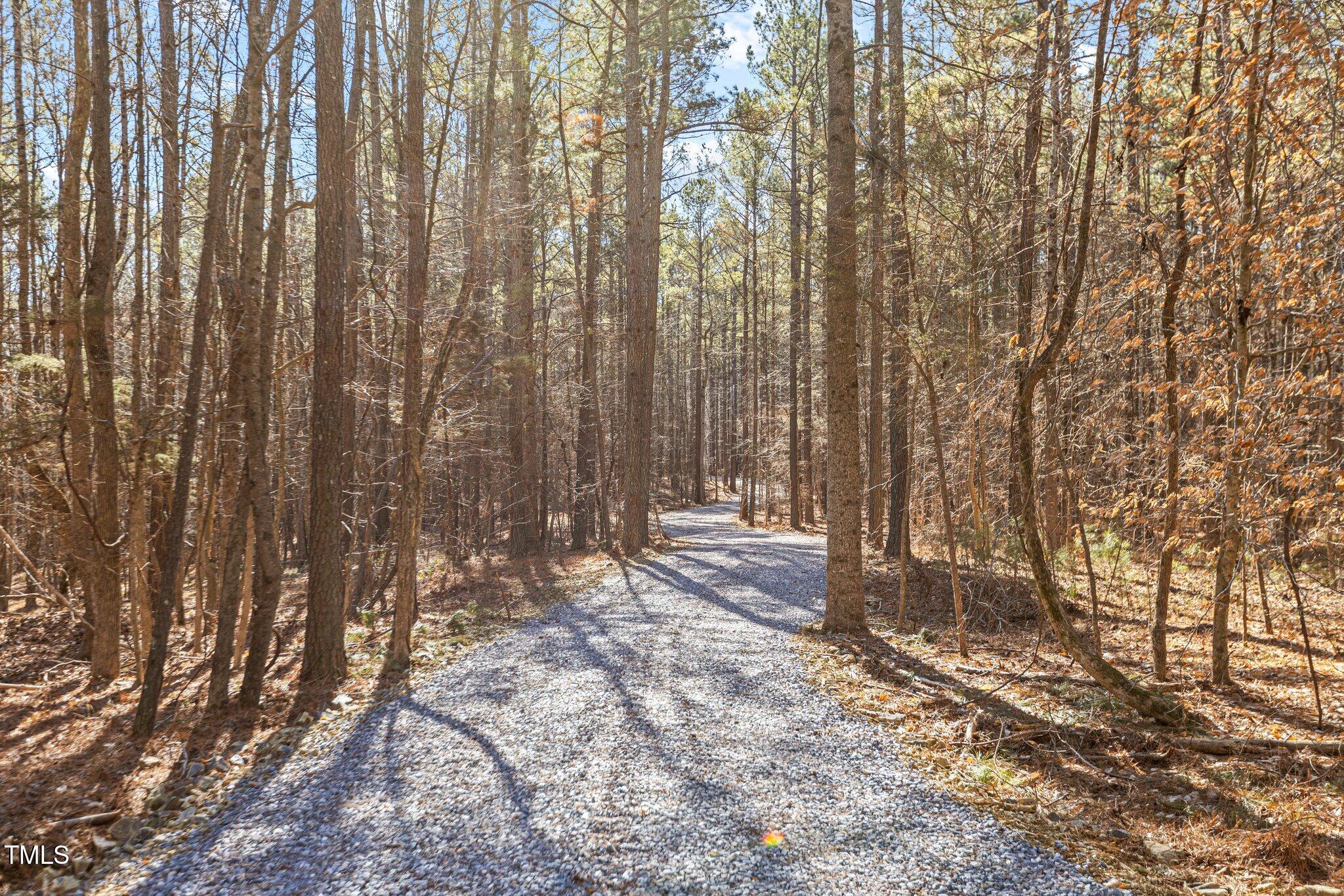 651 Mountain Creek Road