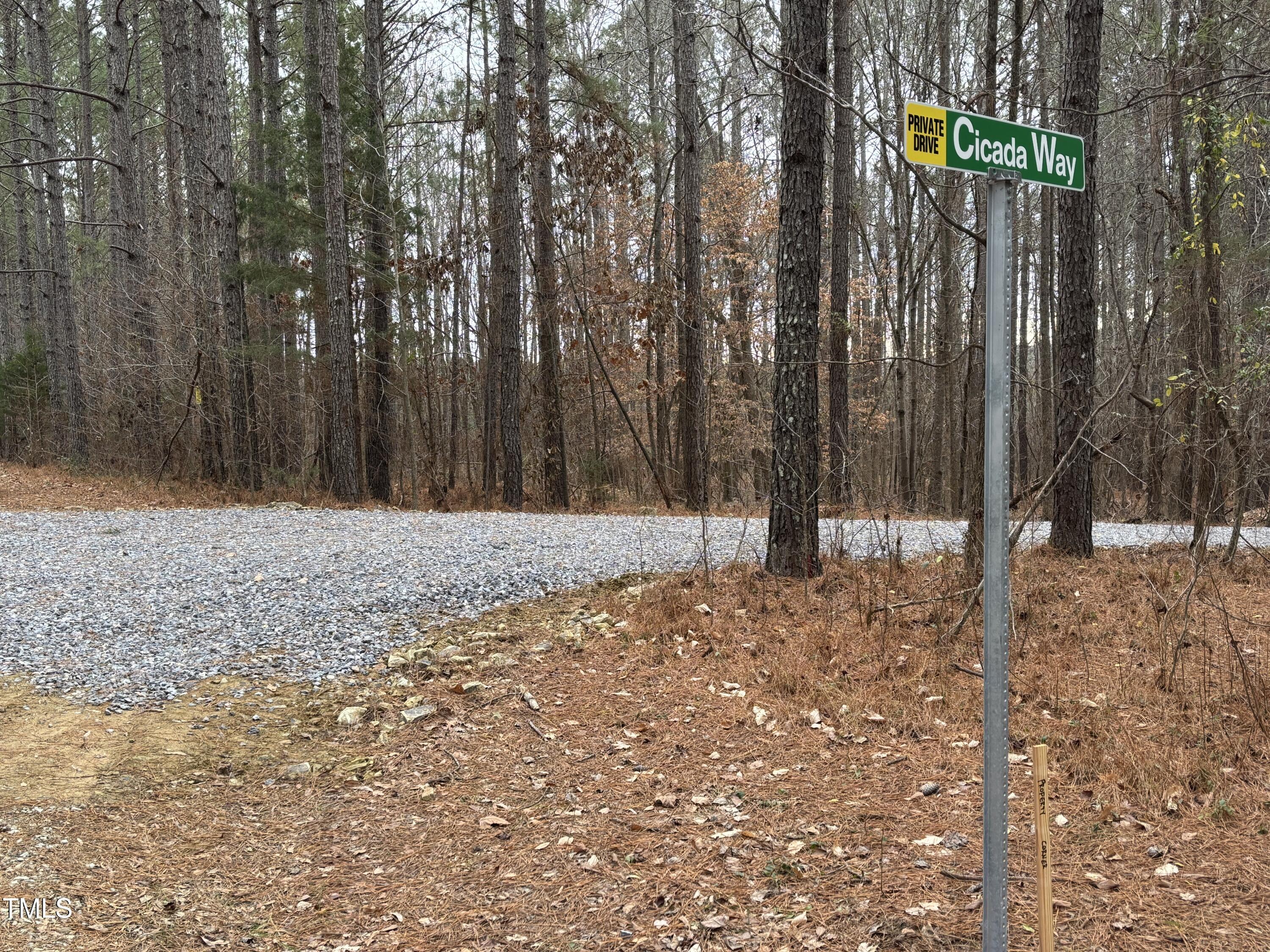 651 Mountain Creek Road