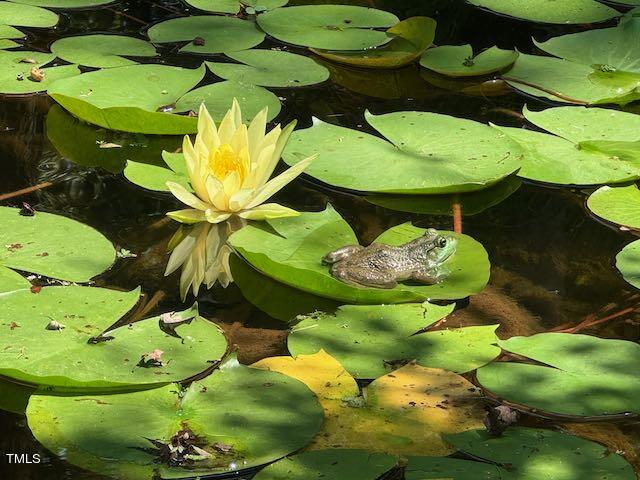 4307 Mystic Lane, Hillsborough