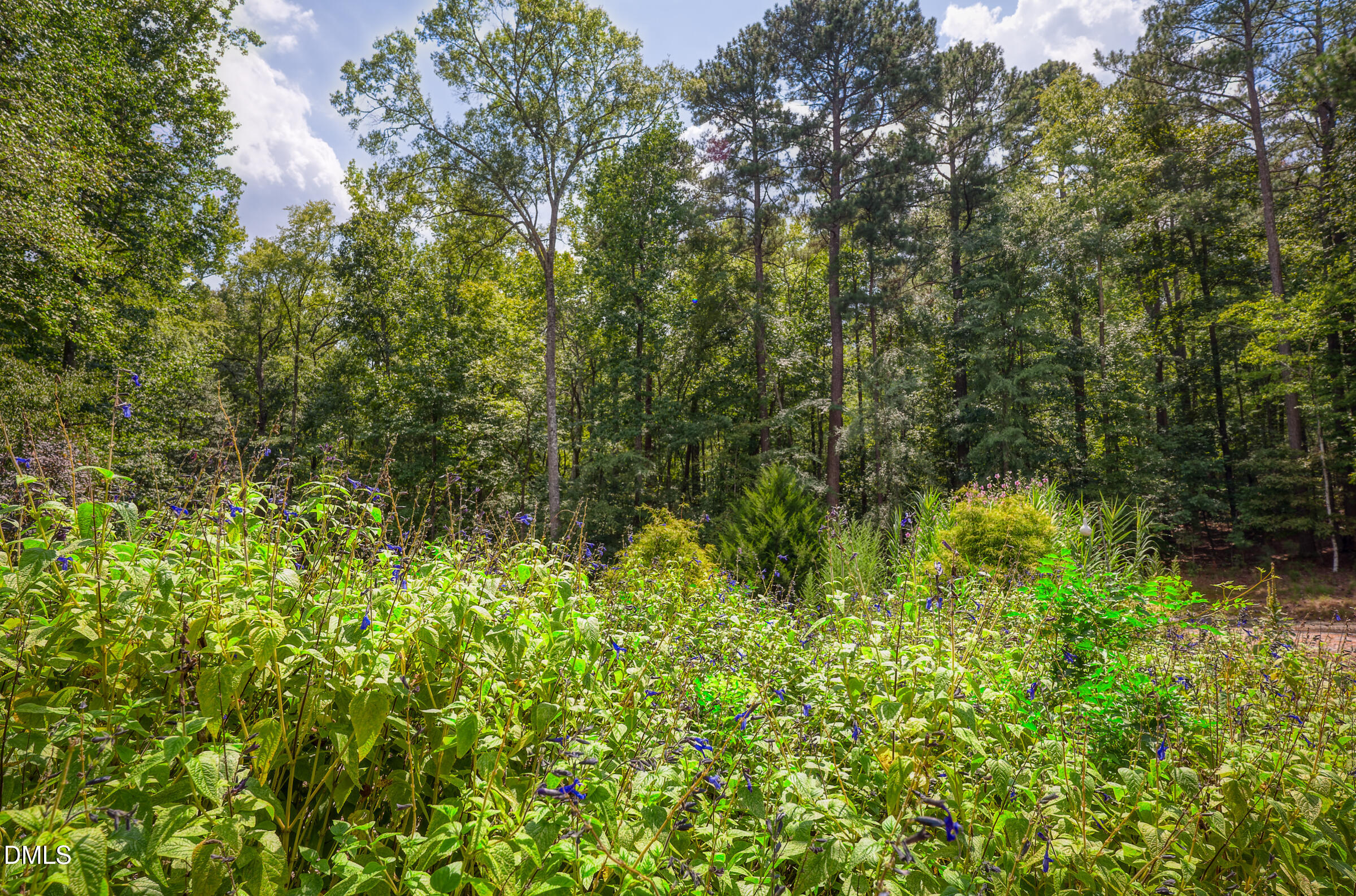 Wooded property lot with mature trees and wildflowers in the foreground.