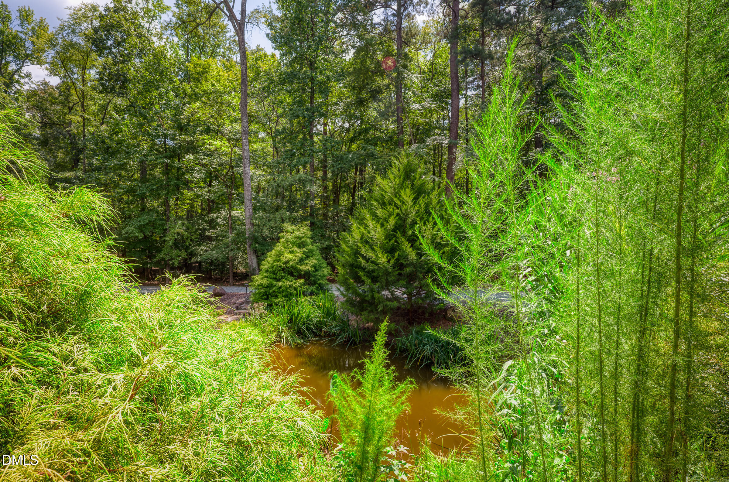 Landscaped pond edged by ornamental grasses and shrubs, with mature trees behind it.