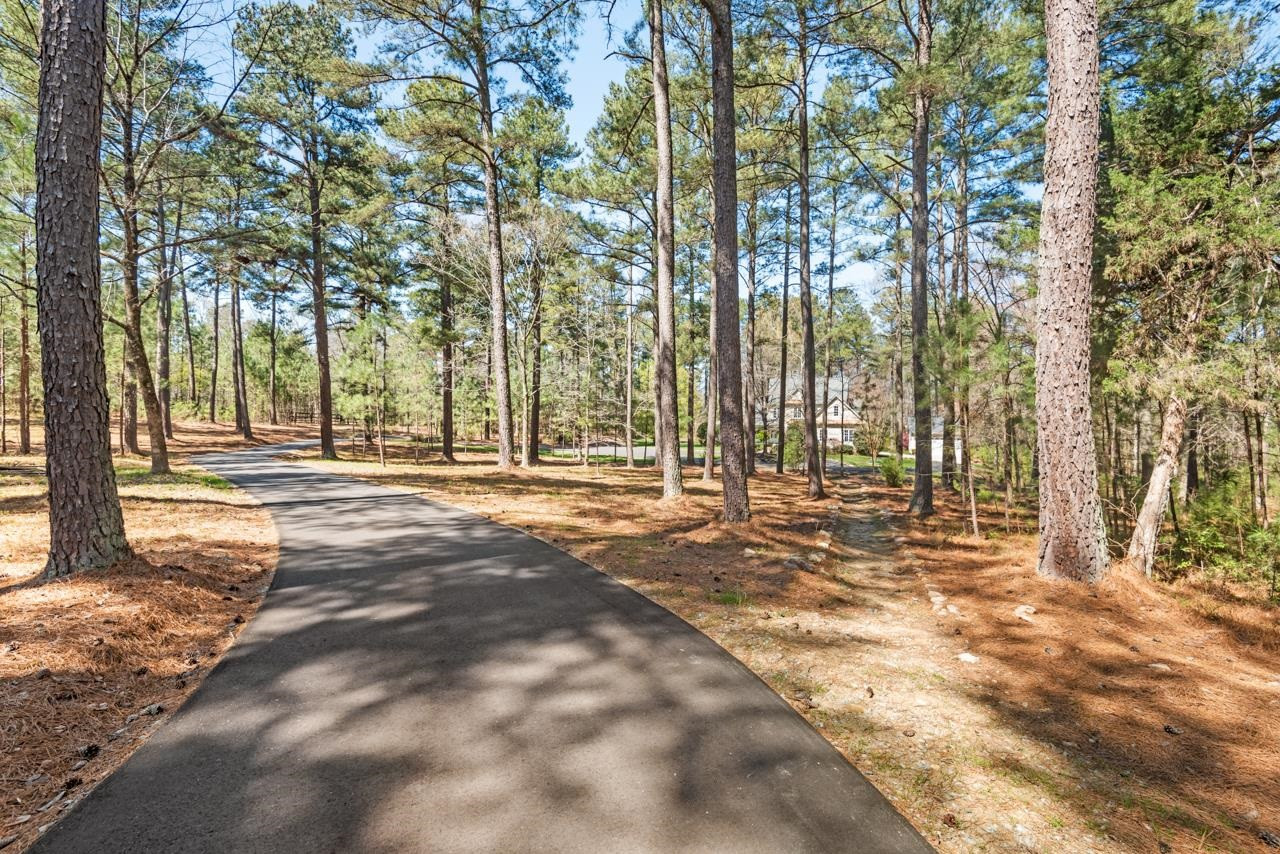3121 Tree Farm Road