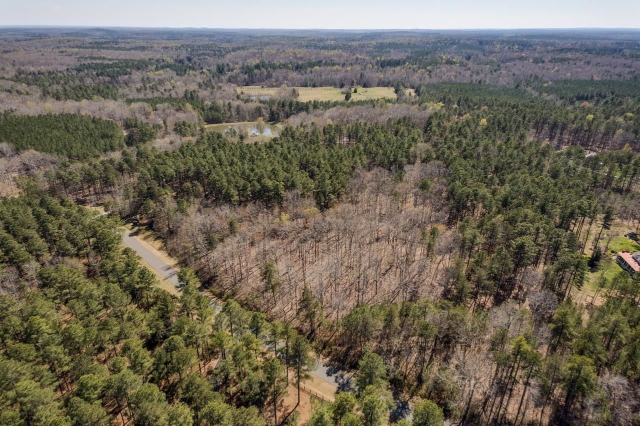 3121 Tree Farm Road