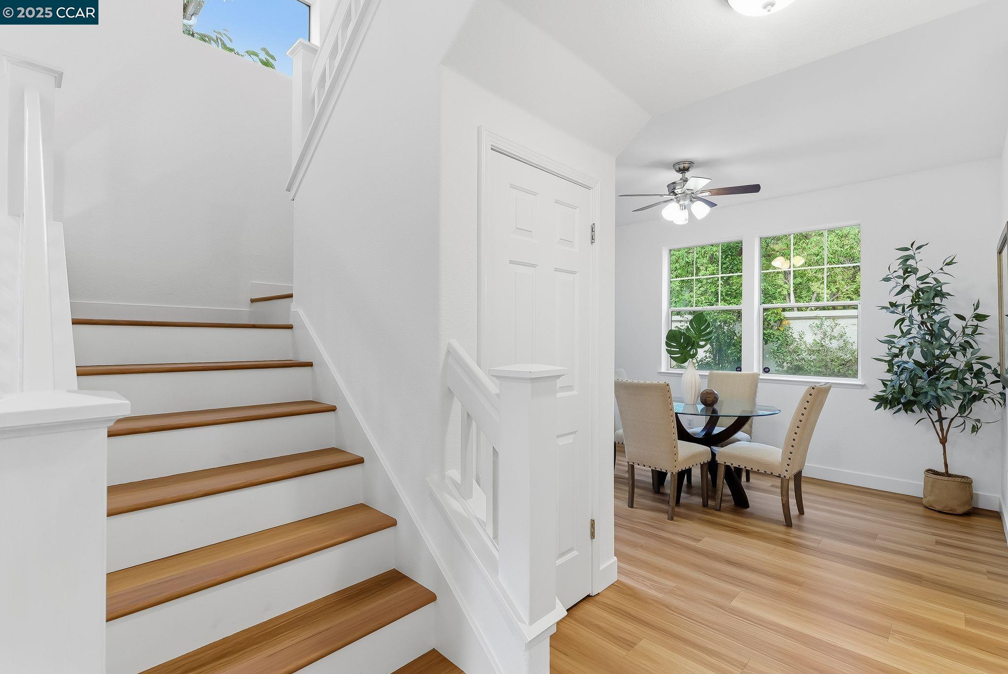 39 Elmwood Dr