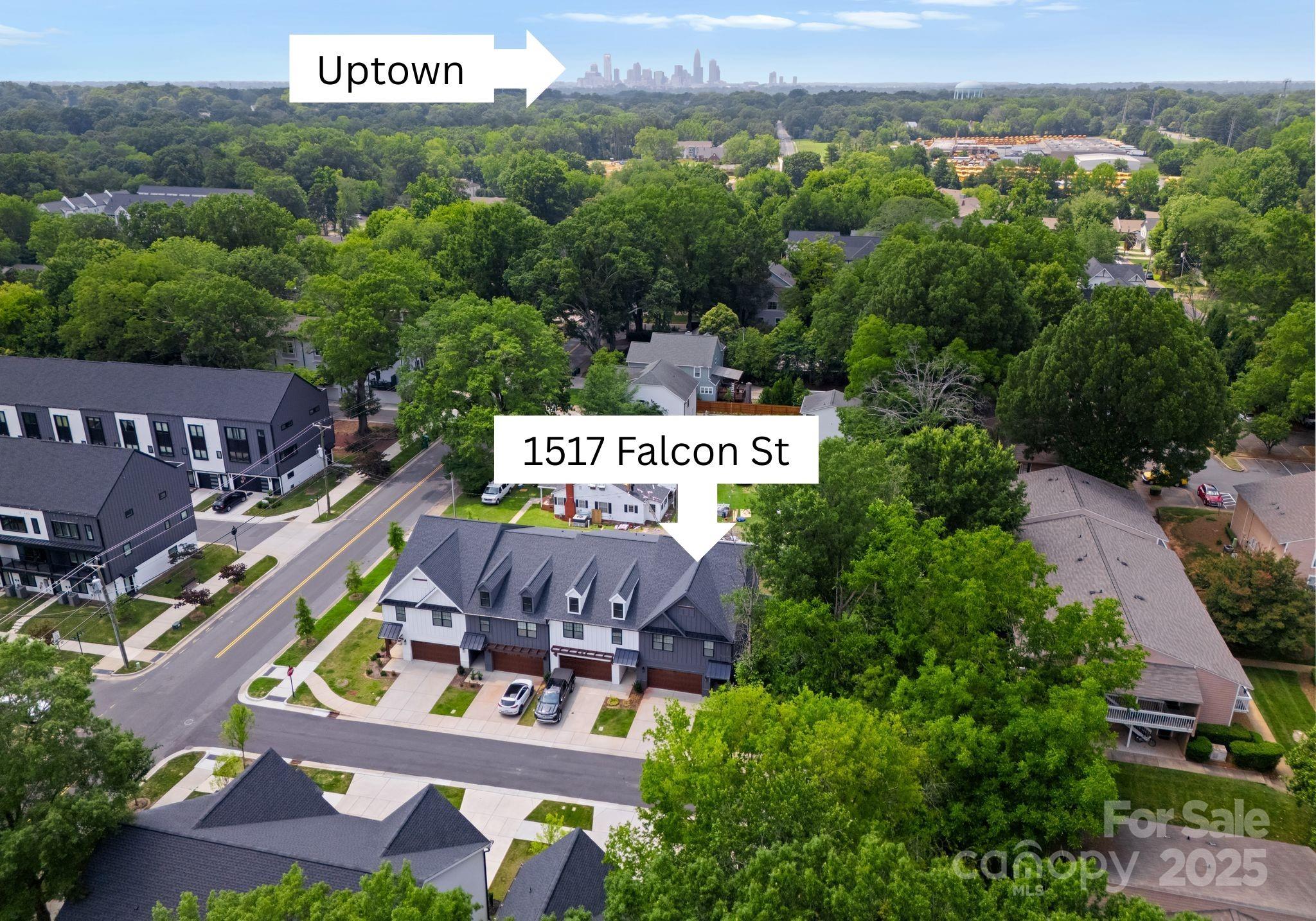 1517 Falcon Street