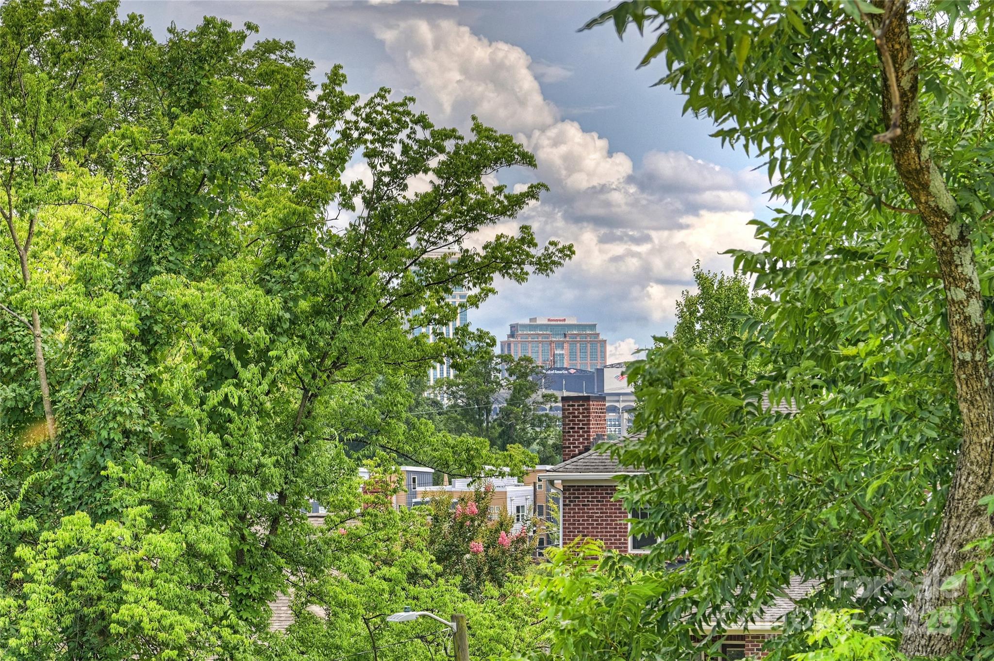 209 Coxe Avenue Unit: B