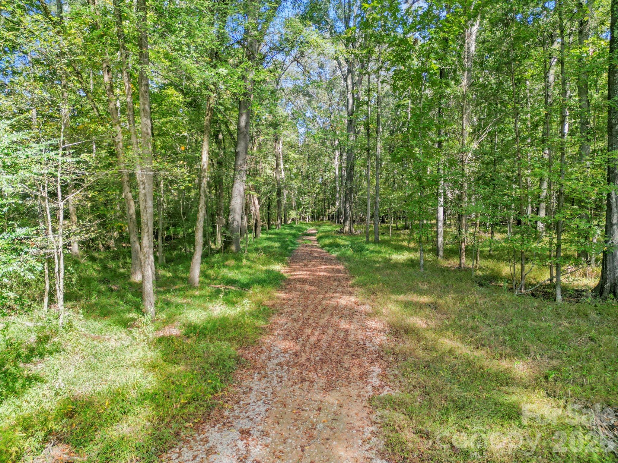 5908 Will Plyler Road